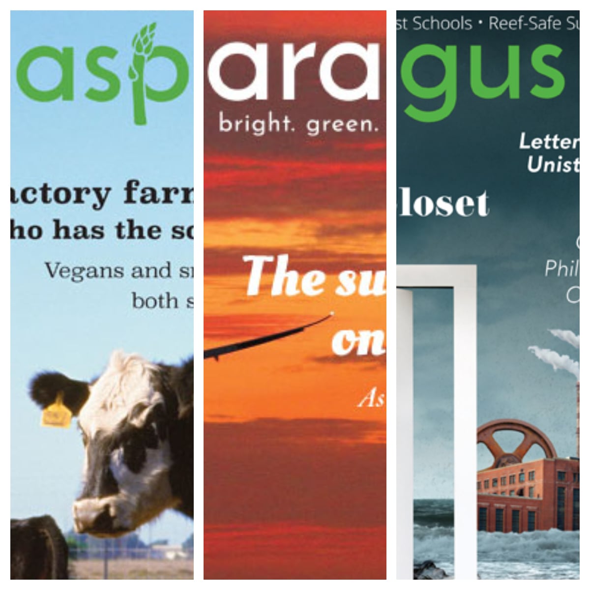 Asparagus Magazine Back-Issues Thumbnail